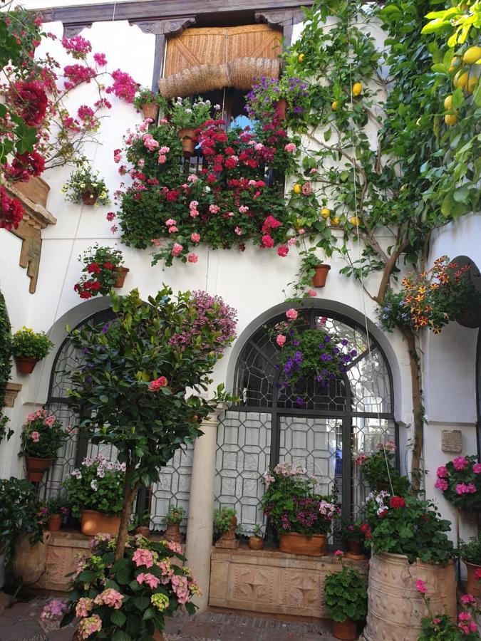 Apto. Planta Baja Y Cochera Barrio San Basilio Córdoba Exteriér fotografie