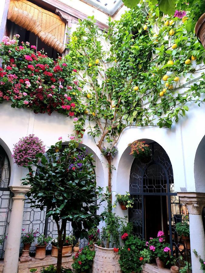 Apto. Planta Baja Y Cochera Barrio San Basilio Córdoba Exteriér fotografie